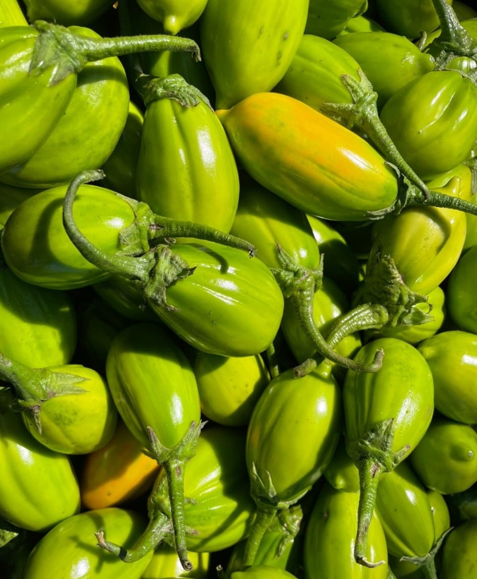 Garden Egg / African Eggplant grown or prepared for Shining Lights Farm.