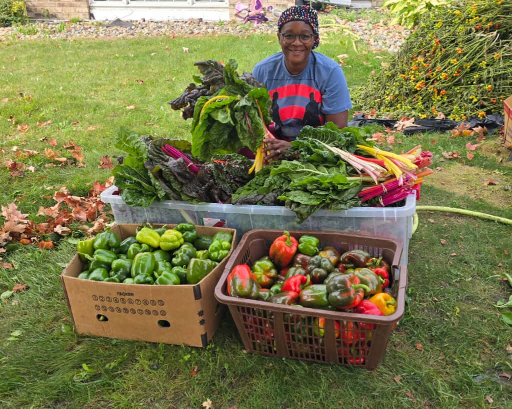 Shining Lights Farm harvest with fresh vegetables and peppers.